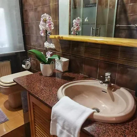 Guest house Il Limone Nascosto *